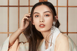 Chaos and Harmony Shibusa Collection