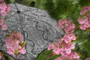 Blunt X fortyonehundred collab