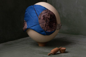 Deadly Ponies Recycle