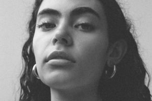 Meadowlark Essentials