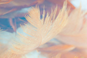 Mindful Fashion x Raw Assembly